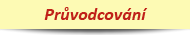 Prvodcovn